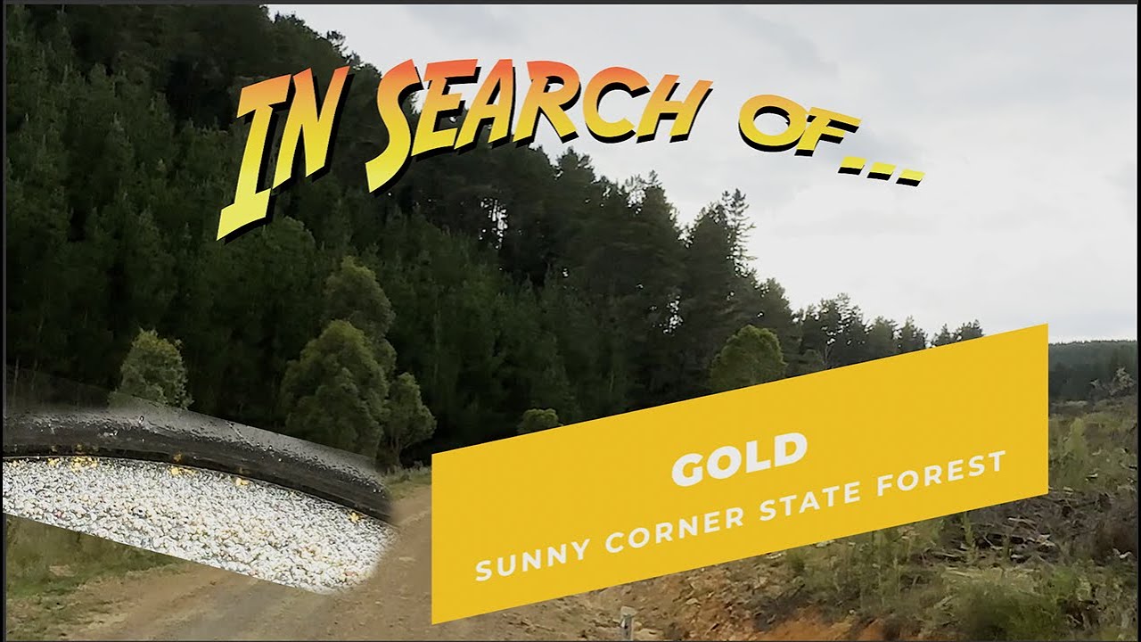 Panning for gold at Sunny Corner State Forest, NSW