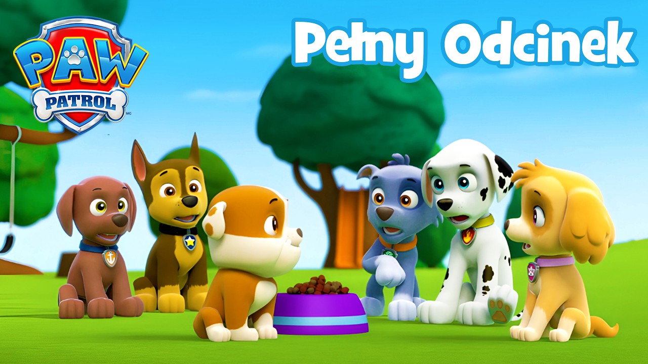Wypadek Rubble'a W Parku! (Pełny odcinek) | Psi Patrol PAW Patrol Po Polski
