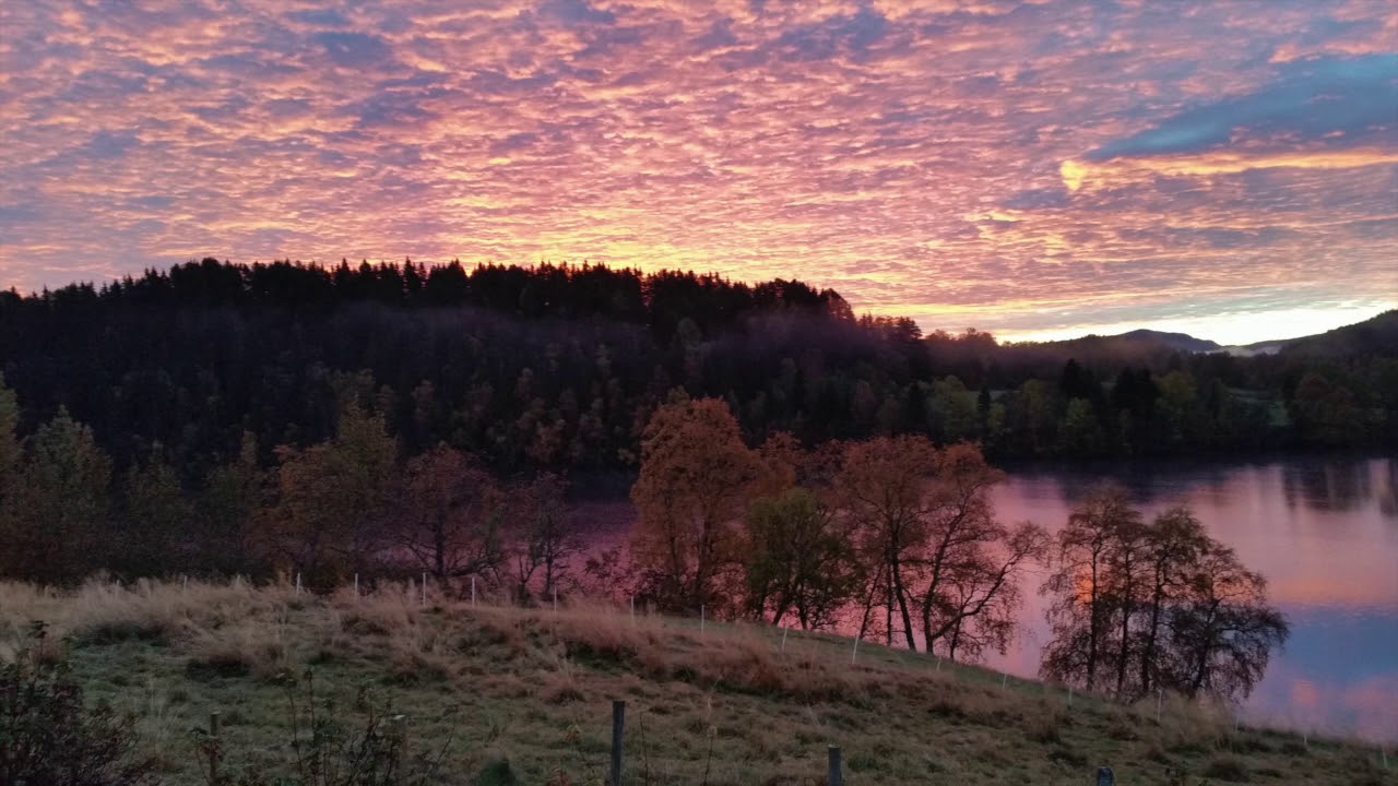 Veien oppad er fri - Arve Mortensen