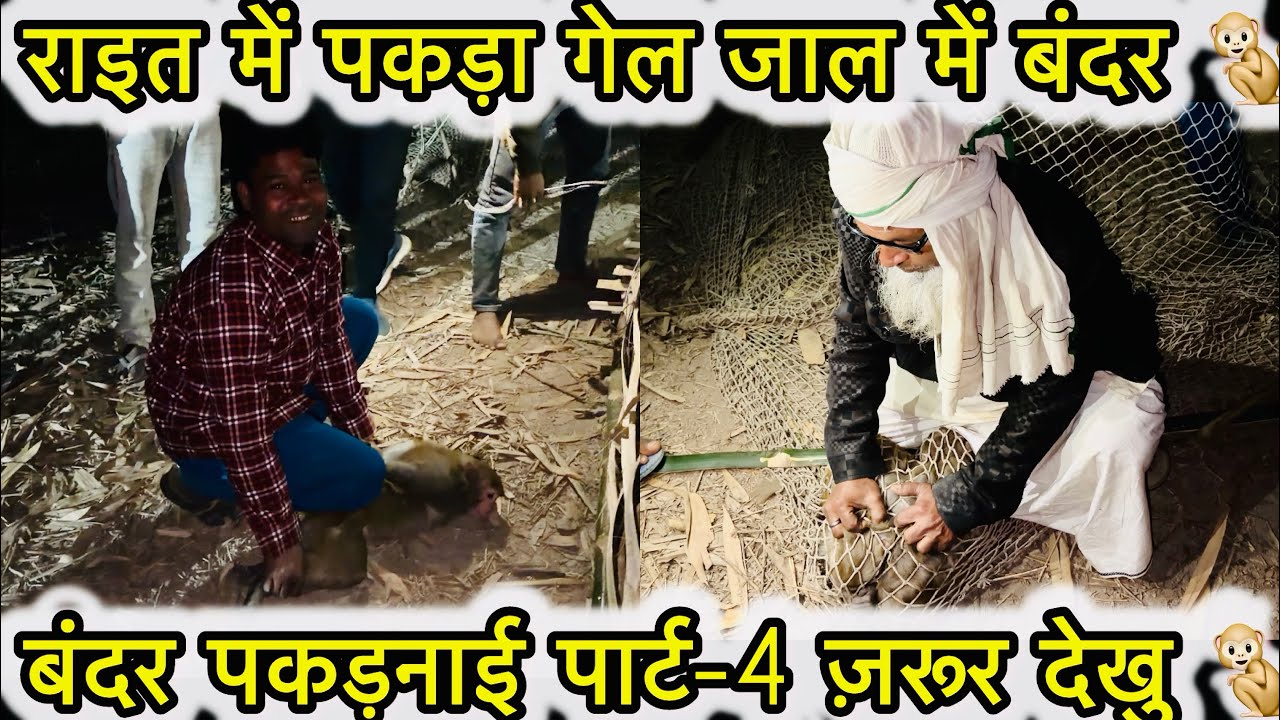 राइत में पकड़ा गेल जाल में बंदर 🐒 ,बंदर पकड़नाई पार्ट-4 ज़रूर देखु 🐒