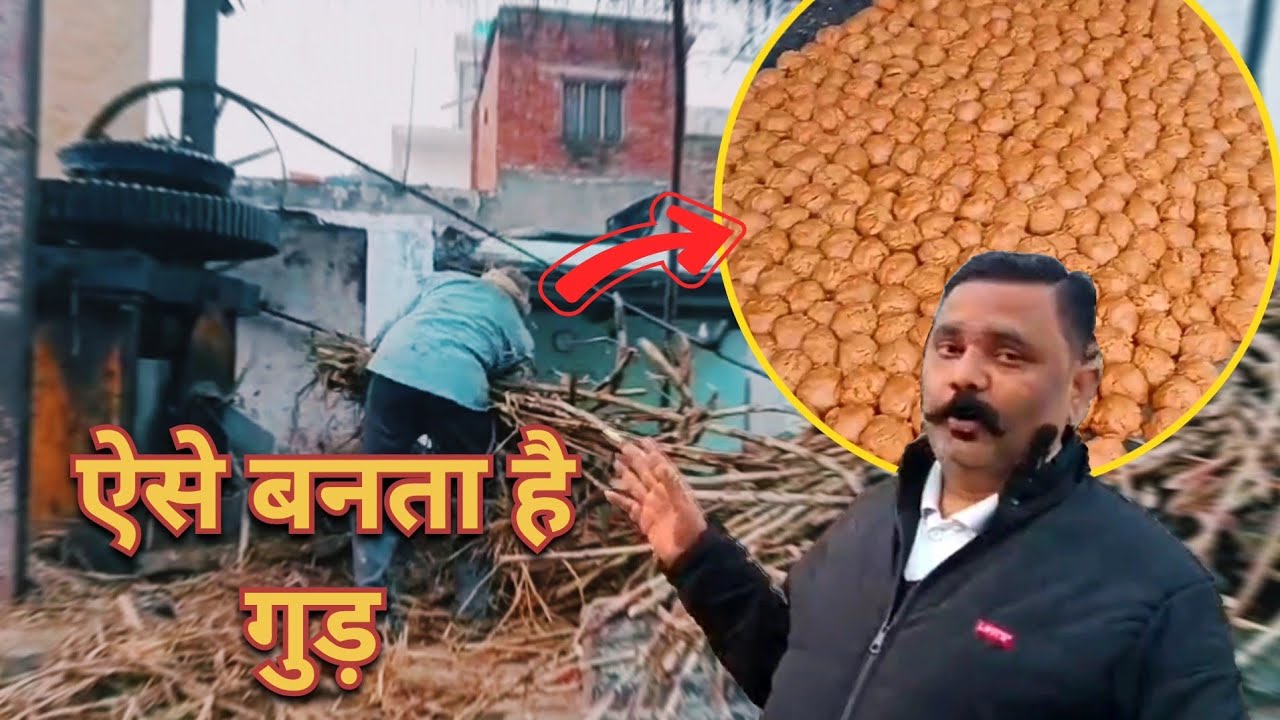 JAGGERY MAKING (ऐसे बनता है गुड़)