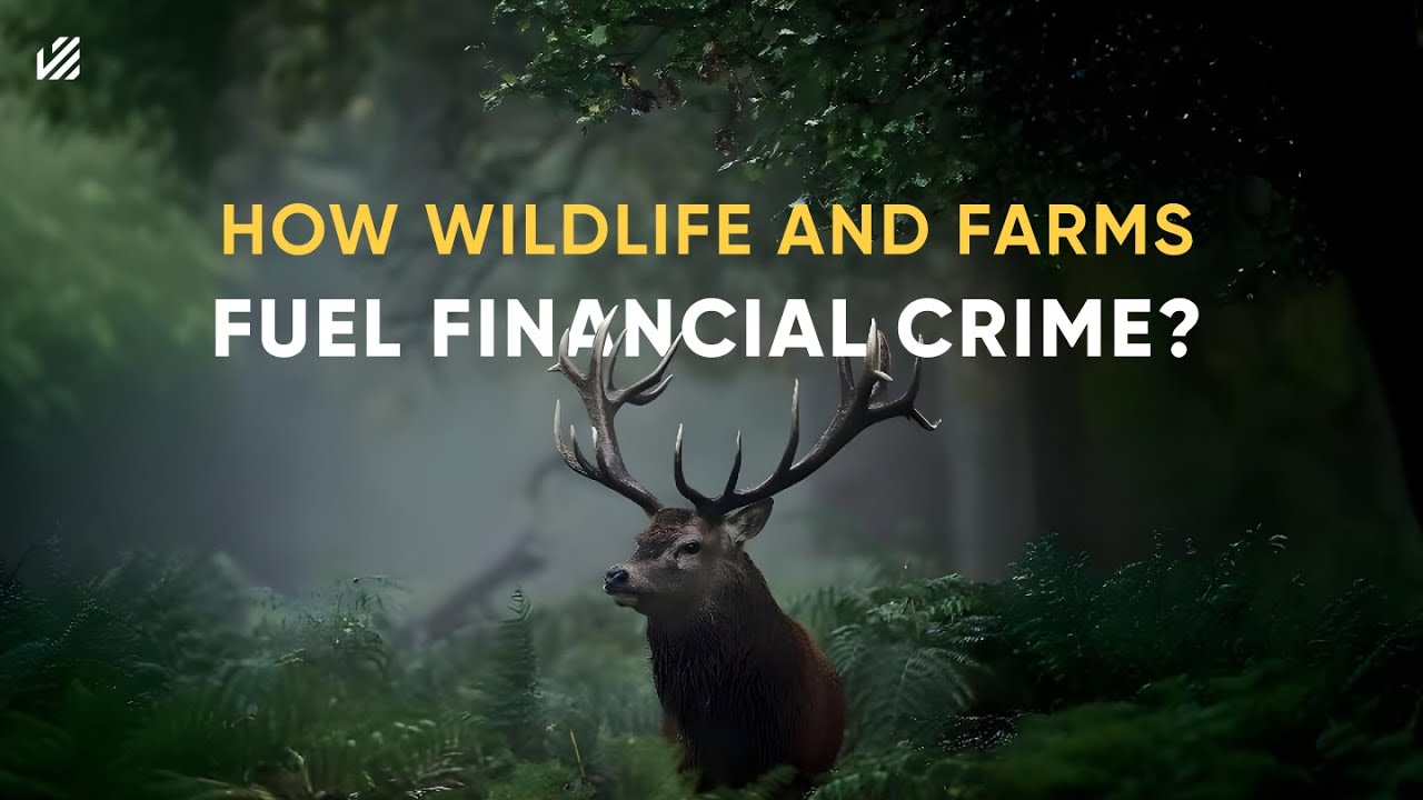 Wildlife Trafficking and Money Laundering: What is the Hidden Connection?