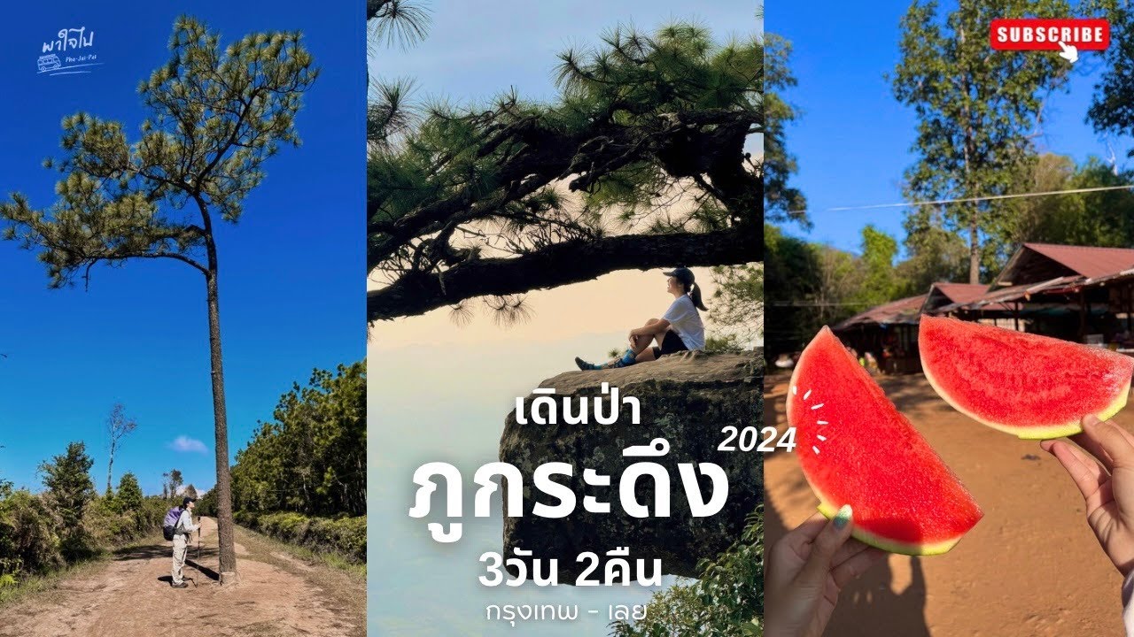 เดินป่าภูกระดึงครั้งแรก! ไม่มีรถส่วนตัว ในคลิปให้ดูเส้นทางเดินแบบเต็มๆ!