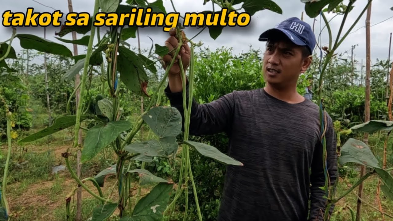PAALALA sa Ating mga Kabuddy Farmily