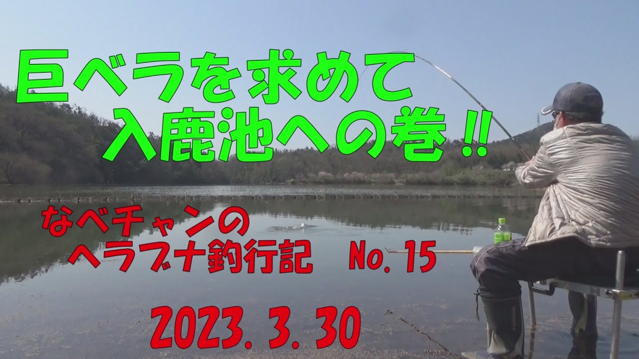 なべチャンのヘラブナ釣行記　No.15　巨ベラを求めて入鹿池への巻‼2023 3 30 入鹿池