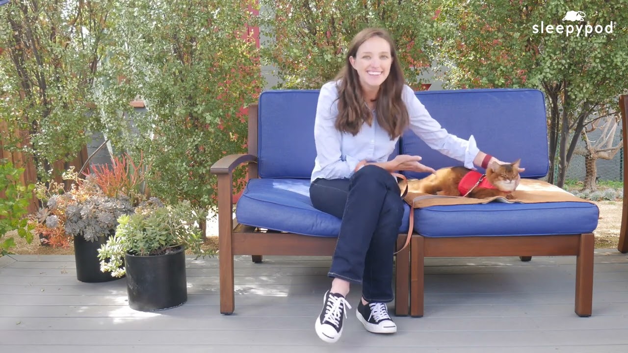 Beginner Cat Trick: How to High Five With Your Cat - #cattraining