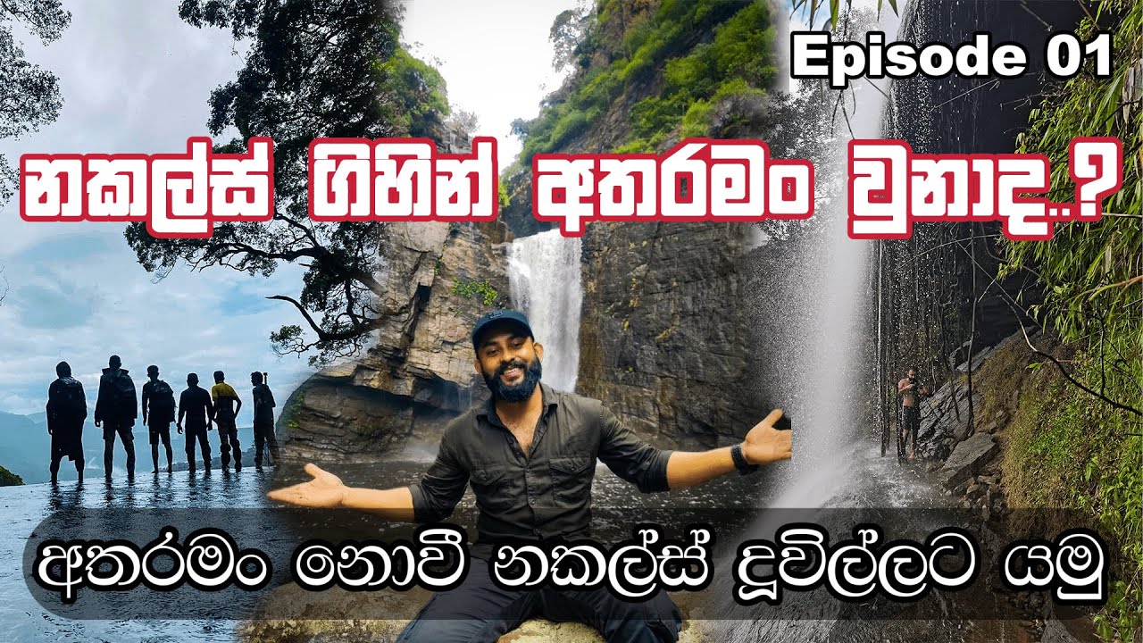 අතරමං නොවී දූවිලි ඇල්ලට යන්න සම්පූර්ණ මාර්ග විස්තරය | Knuckles Duwili Ella Trail #knuckles#trending
