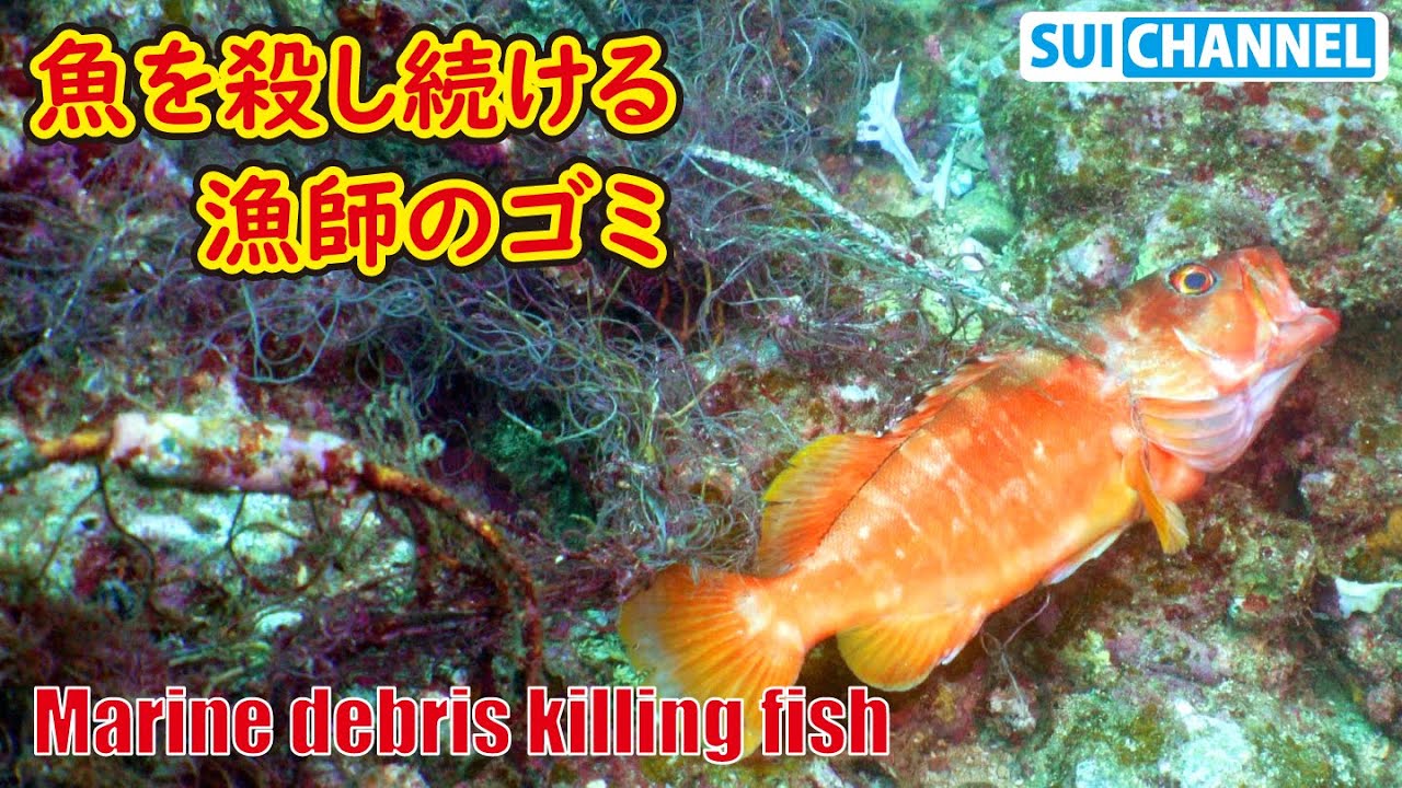 魚をただひたすら狩り続ける漁師のゴミがヤバイ…【海洋ゴミの実態】