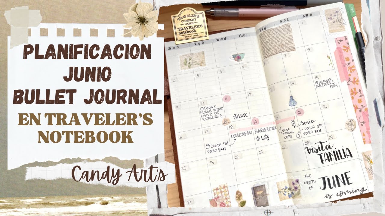 Junio en mi bullet journal 📆 | Travelers notebook | Plan with me 🌿