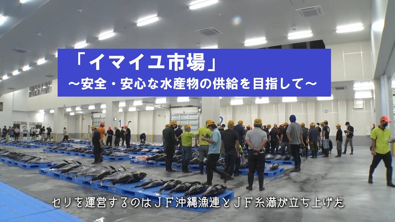 イマイユ市場～安全・安心な水産物の供給を目指して～　沖縄県漁連