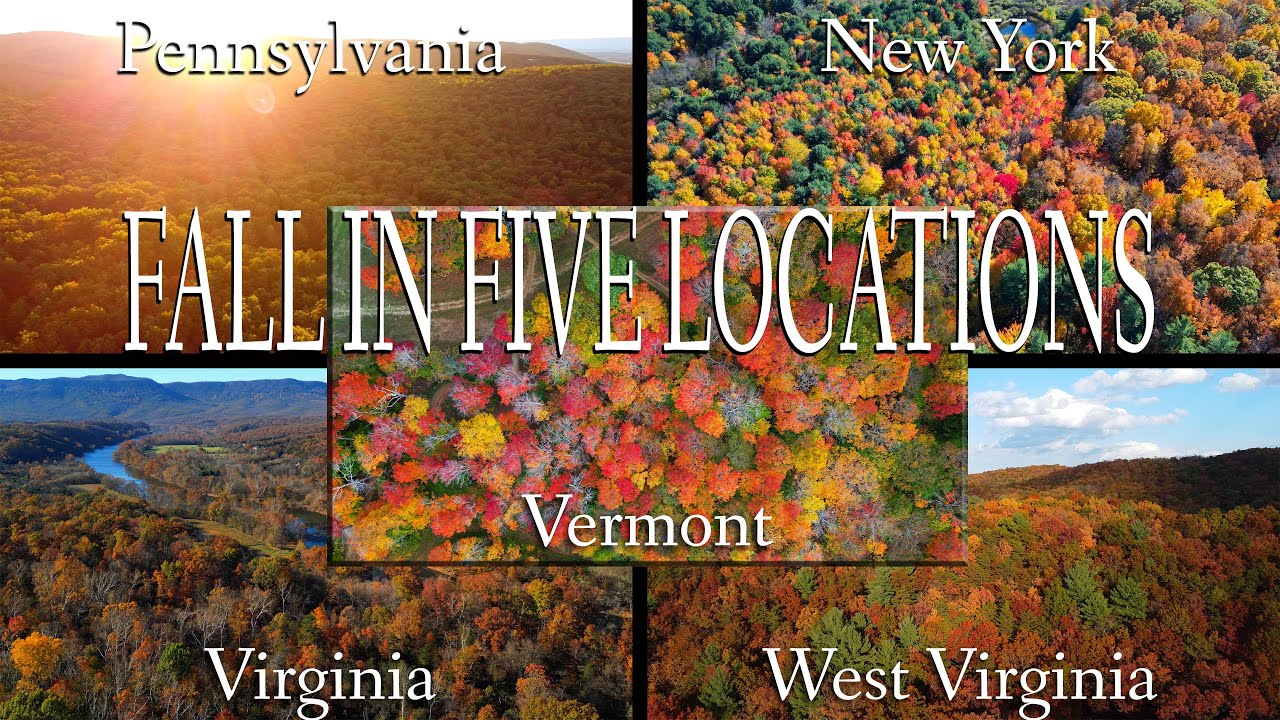 CHASING AUTUMN 🍂 Fall Cabin Adventures 5-Year Review