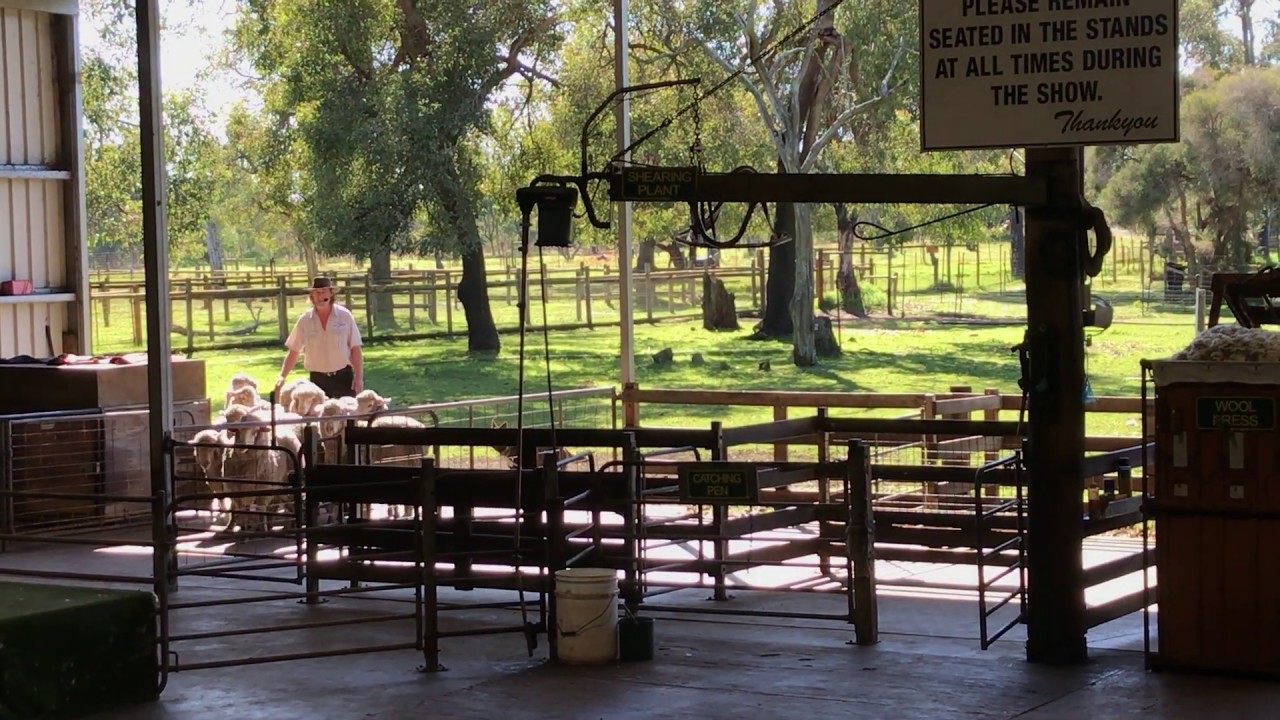 Molly's Farm at Caversham Wildlife Park, Whiteman, Western Australia