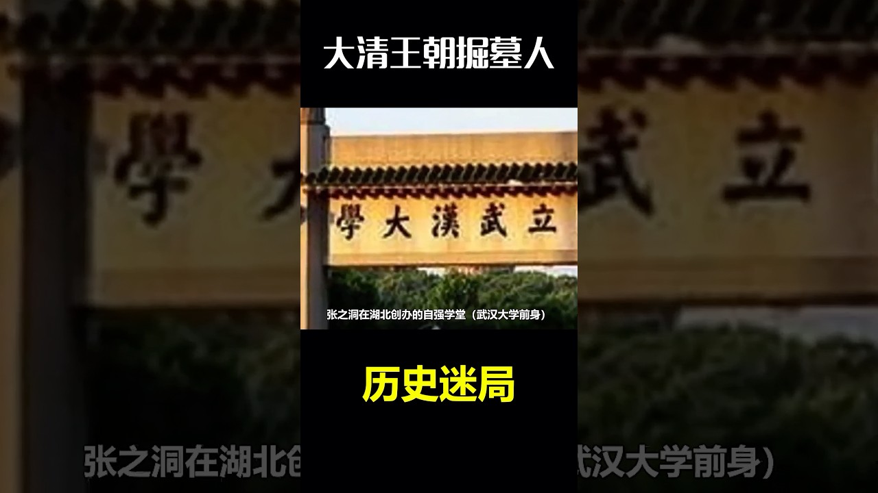 为什么说张之洞是大清王朝的掘墓人（01）#清朝历史 #晚清 #张之洞 #中国历史人物