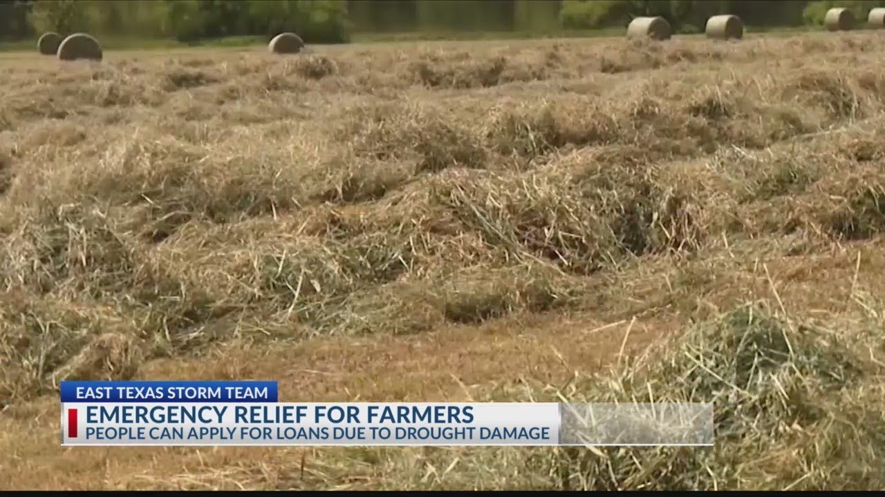 Emergency Farm Loans available for East Texas counties named in Drought Disaster Declaration