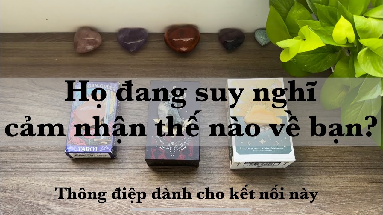 Họ đang suy nghĩ cảm nhận thế nào về bạn? Ý nghĩa của kết nối này + chỉ dẫn từ Vũ Trụ 💓(Timeless)