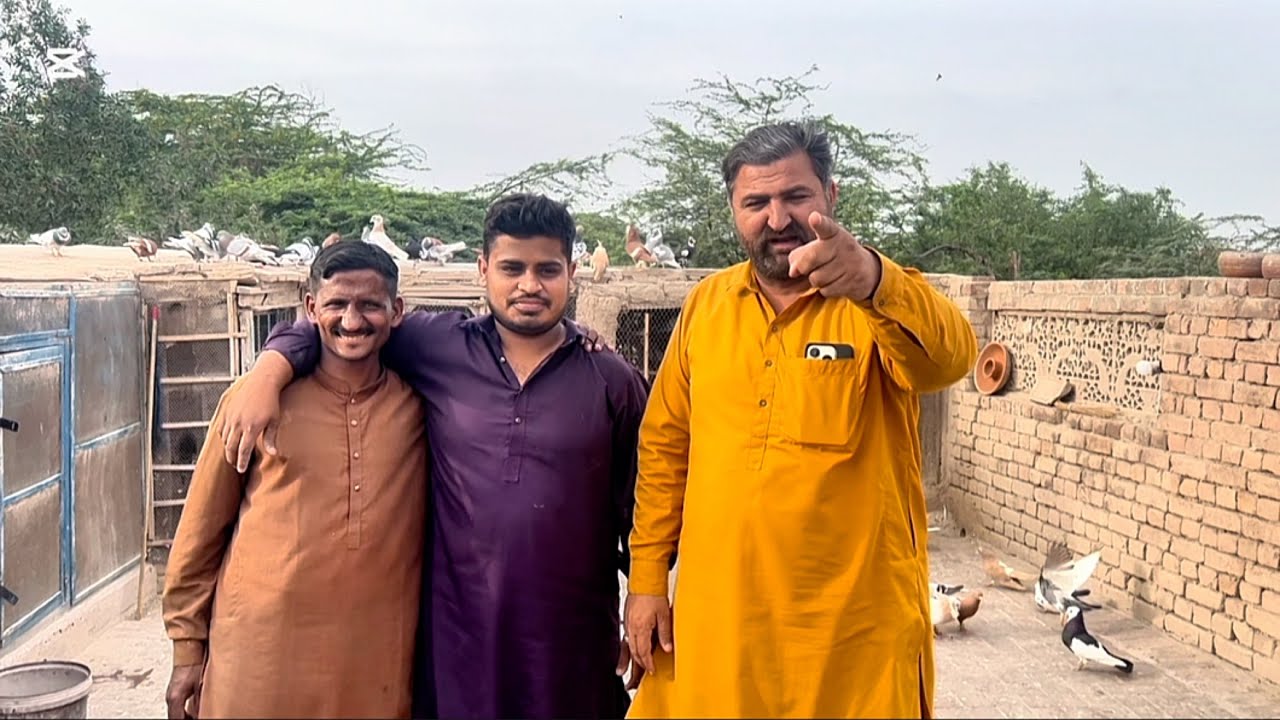 Mashallah 🥰 aj  hum gaye tha  bahi  ka shok dekhane  Mashallah 🥰 bahi ke kabuter bi bohat acha tha 