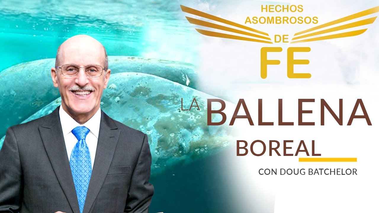 Hechos Asombrosos de Fe - Ballena Boreal - Doug Batchelor