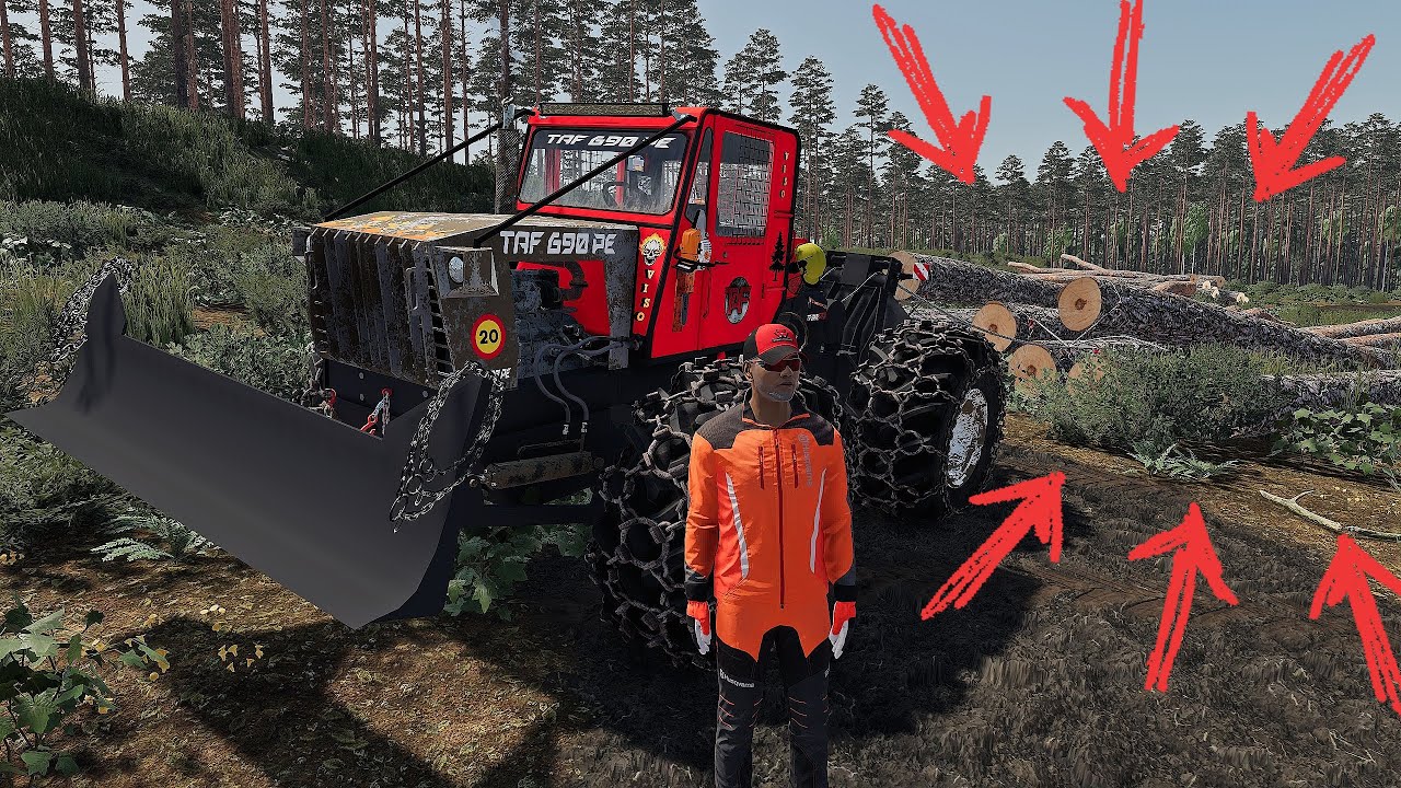 MARE CHIN CU TAFUL IN NOUA PARCELA DE PADURE DE PE MUNTE ( Angajat la Ocolul SILVIC ) #-12 FS 22