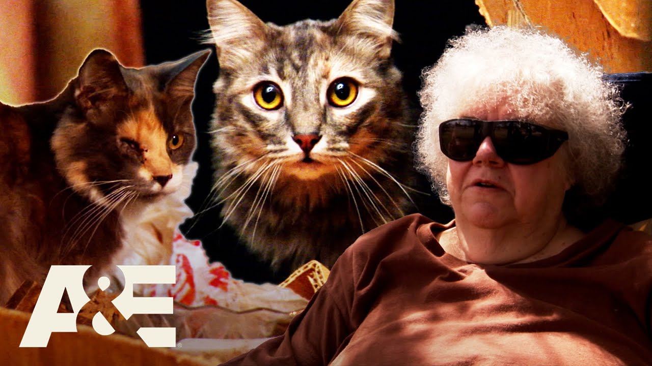 Hoarders: Over 75 Cats TAKE OVER Shirley's Home | A&E