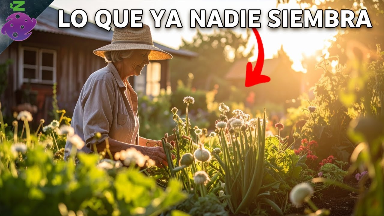 20 Verduras Olvidadas que Cultivaban Nuestros Abuelos (Y Que Casi Nadie Come Hoy)