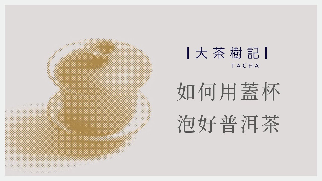 如何用蓋杯，泡好普洱茶 [大茶樹記]