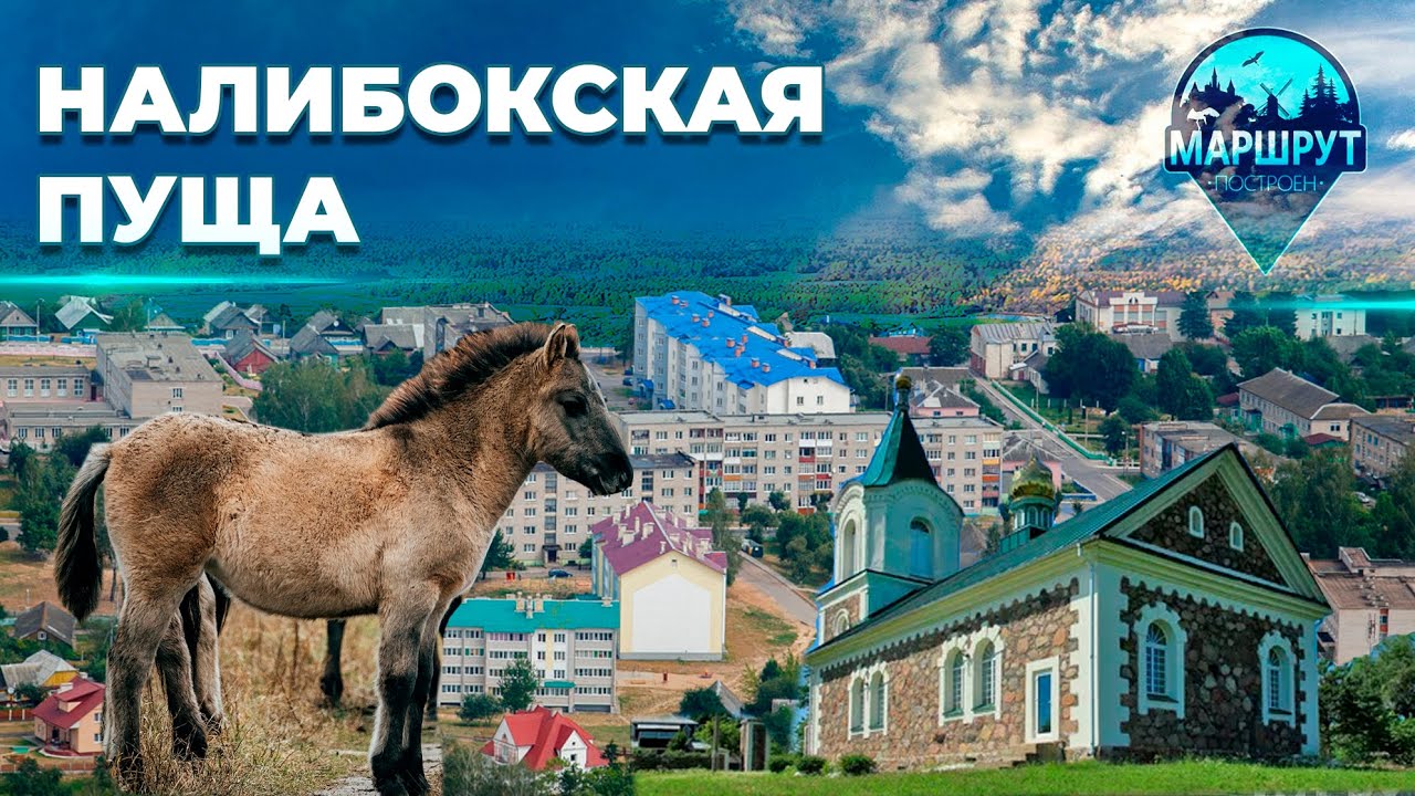 Путешествие в Воложинский район | Налибокская пуща | Гончарное дело| МАРШРУТ ПОСТРОЕН