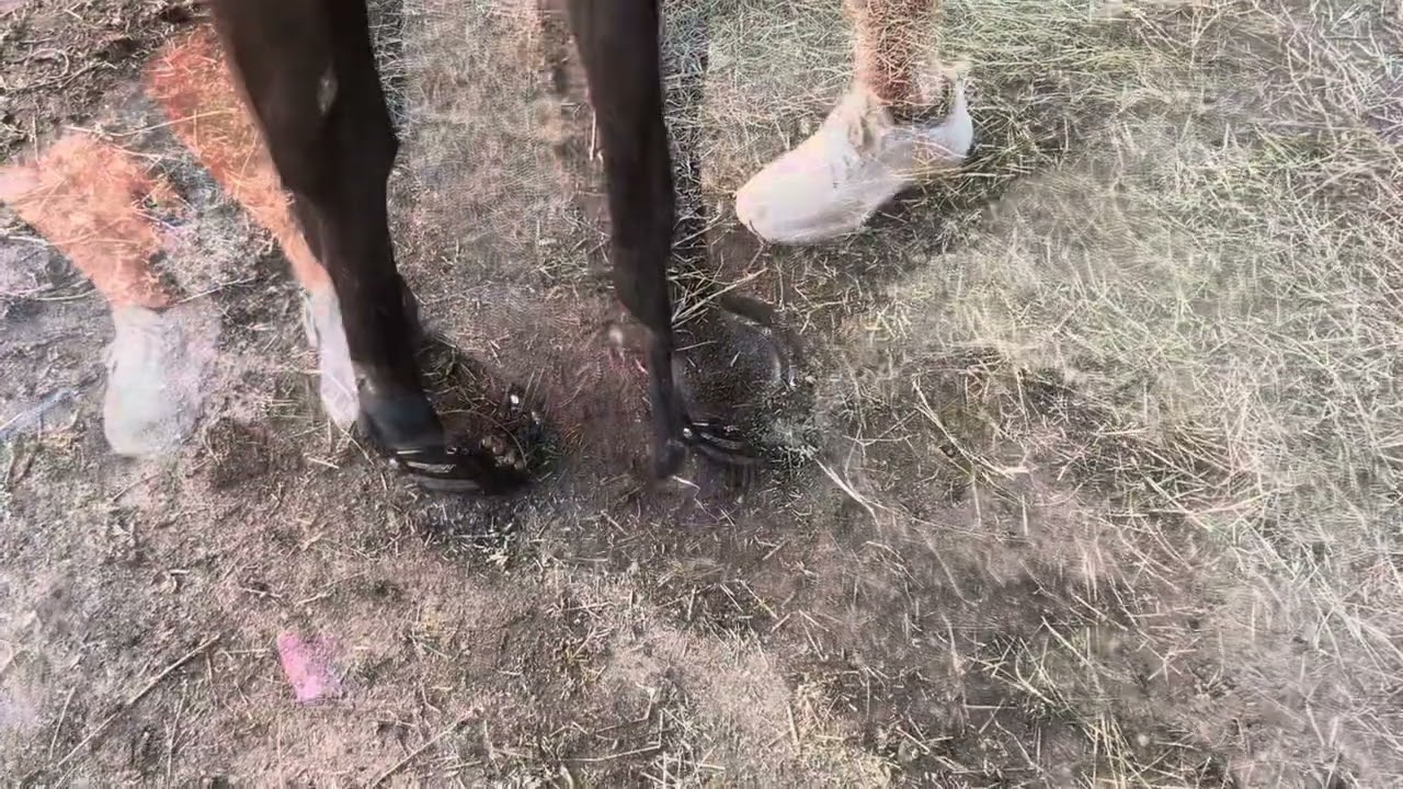 Getting Scoot Endure Boots from Scoot Boot! (Product review)