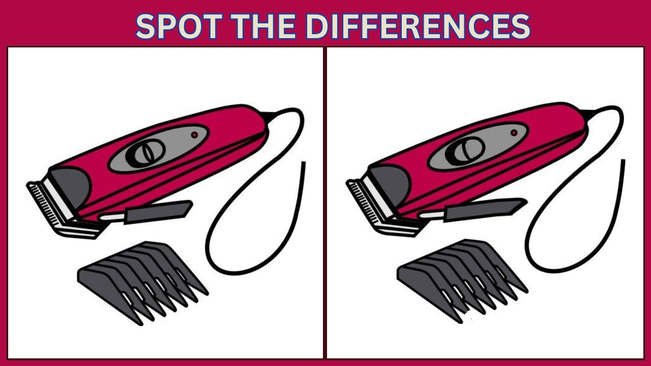 Spot the 3 Differences | 10 Brain Teasers to Test Your IQ