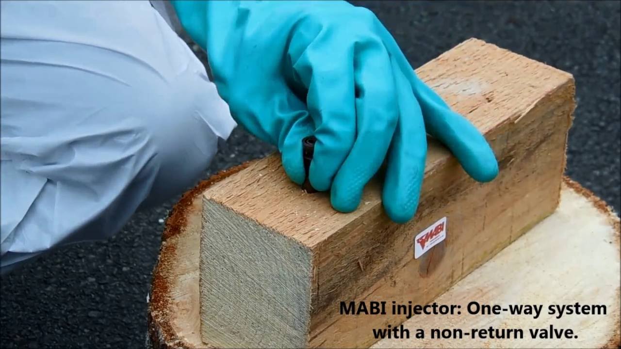 How to treat wood for wood destroying organisms with MABI injectors | MABI USA