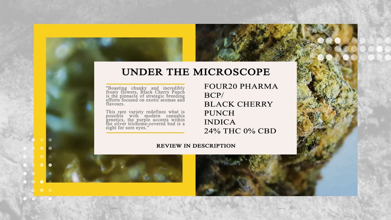 Black Cherry Punch Under The Scope Four20 Pharma BCP