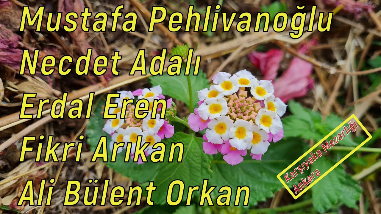 Karşıyaka Mezarlığında yatan idam edilmiş gençler (02.06.2015)