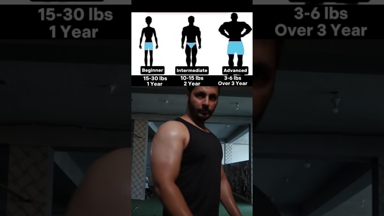 How Much Muscle Can You Put On Naturally In One Year?