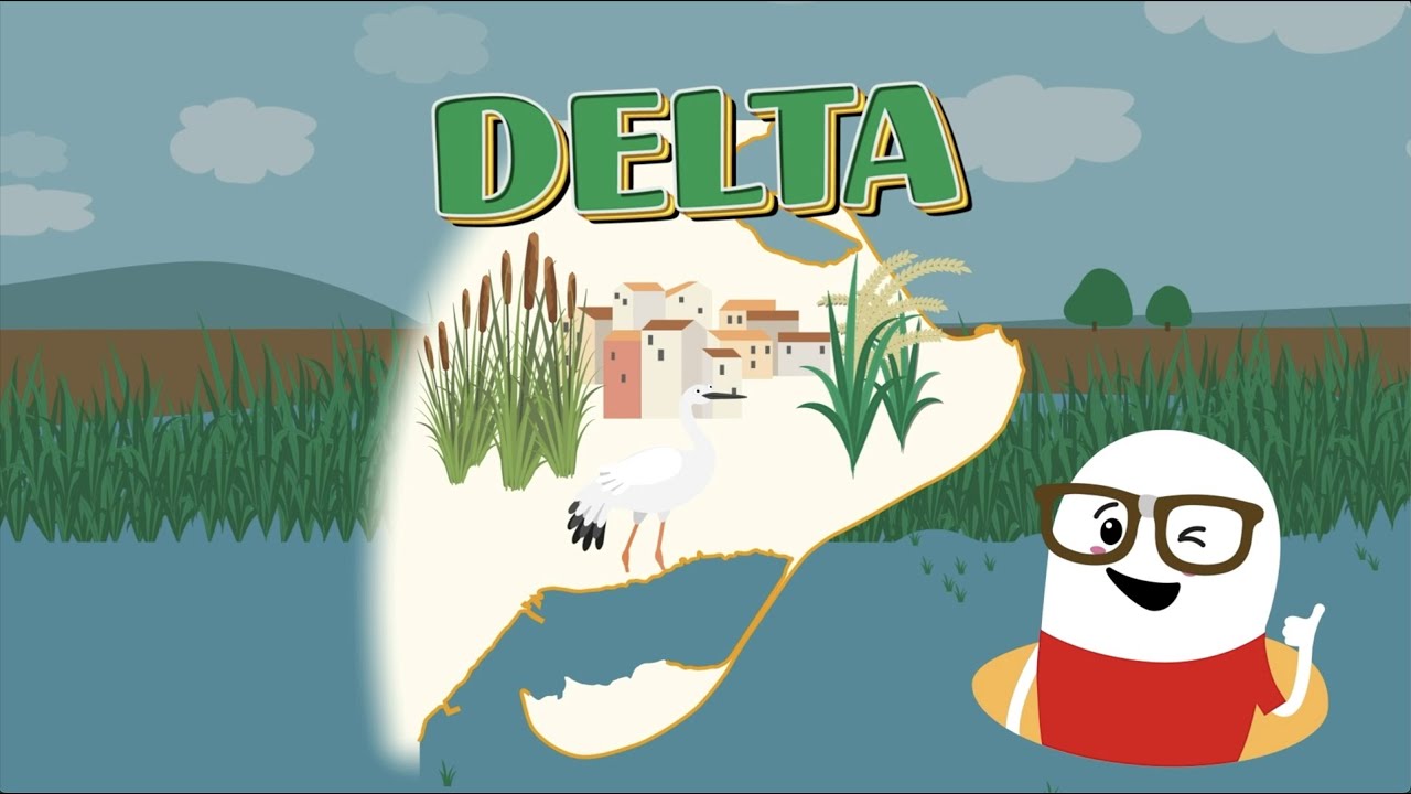 Monti. Sabeu per què m'agrada viure al Delta de l'Ebre?