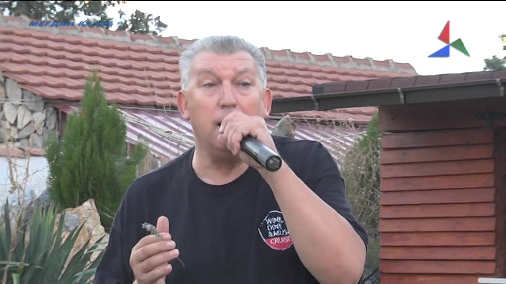 Ivona - Pero Hristov