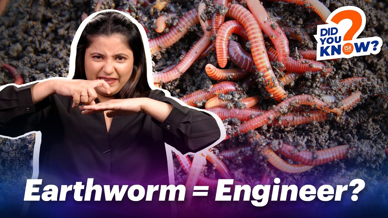 Why Earthworms Are Important? | ISH News