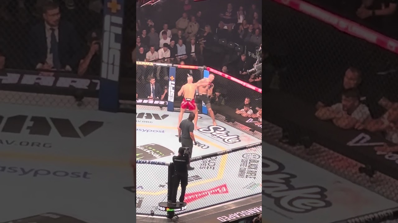 jiri prochazka vs aleksandar rakic full fight