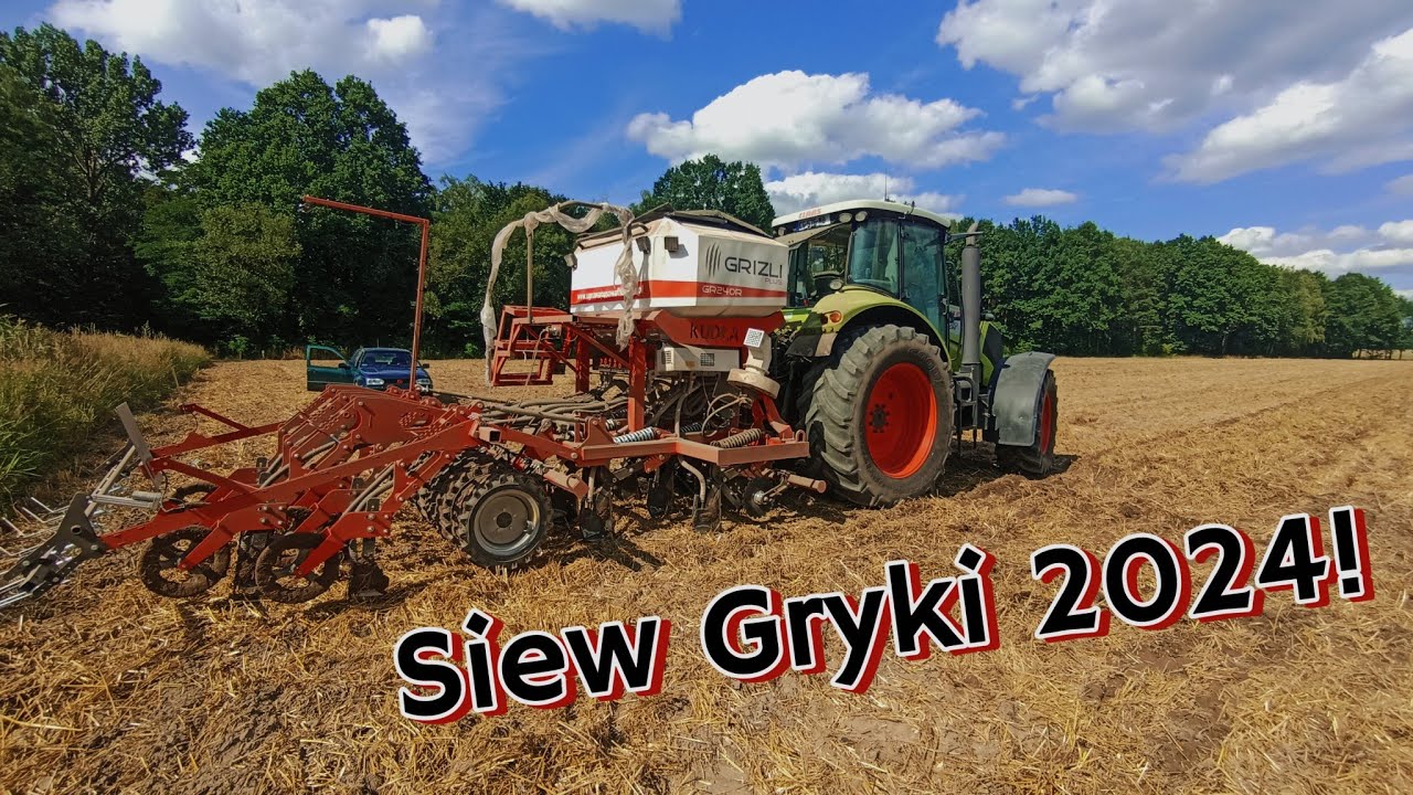 🔥Bezorkowy Siew Gryki 2024 Nowym Grizli. 🔥Claas Axion 810 & Grizli🔥