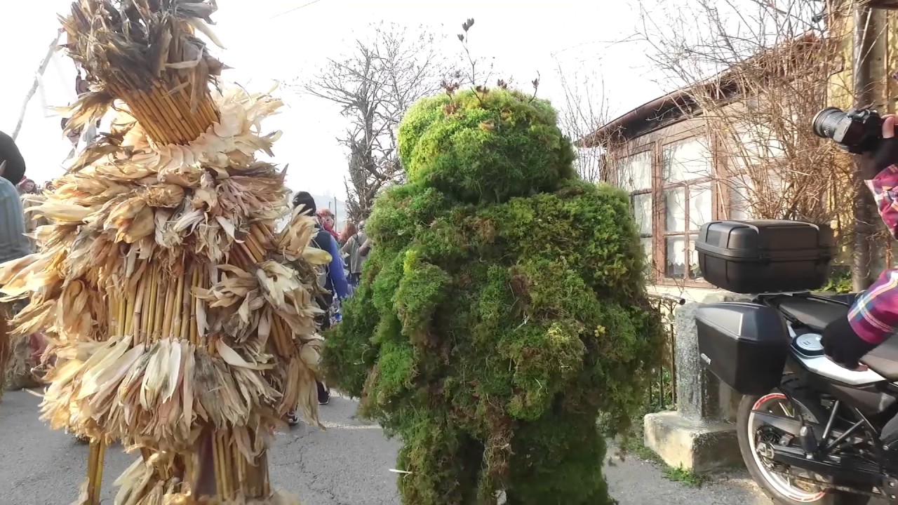 Vijanera 2017