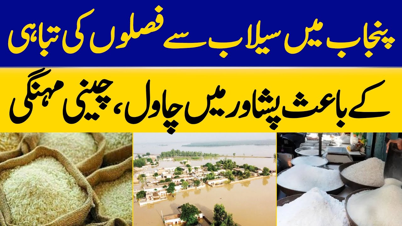 Rice, Sugar Become Expensive in Peshawar Due to Crop Damage Caused By Floods in Punjab | Dawn News