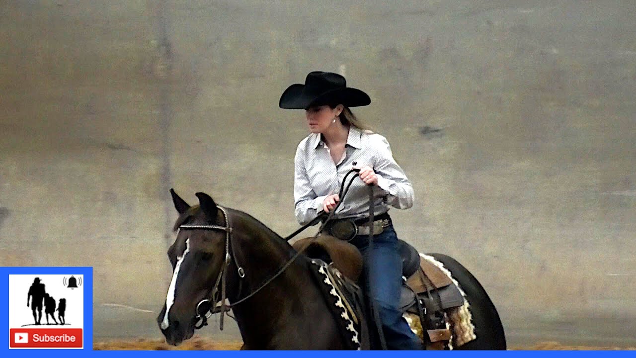 Open Team Penning Championship Round 🐂 USTPA World Finals 2021