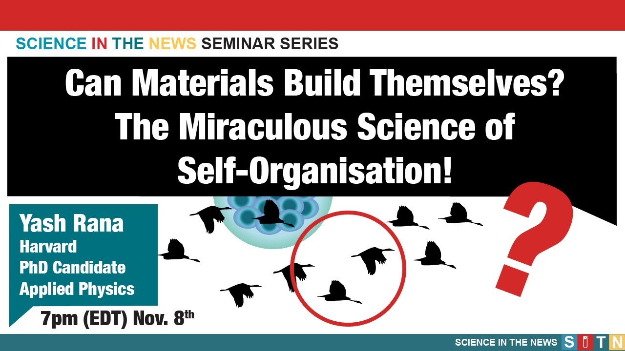 Can Materials Build Themselves? The Miraculous Science of Self-Organisation!