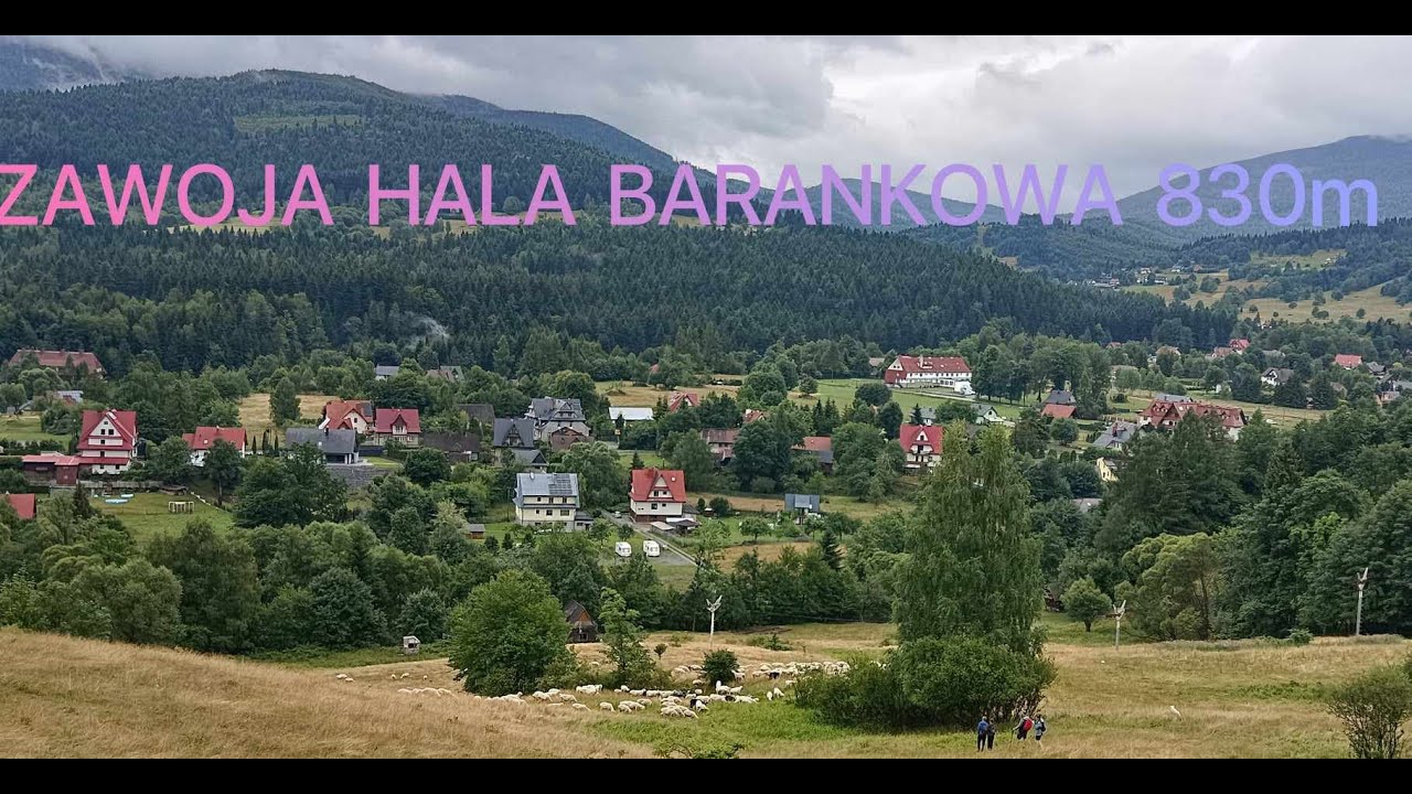 HALA BARANKOWA ZAWOJA 830m