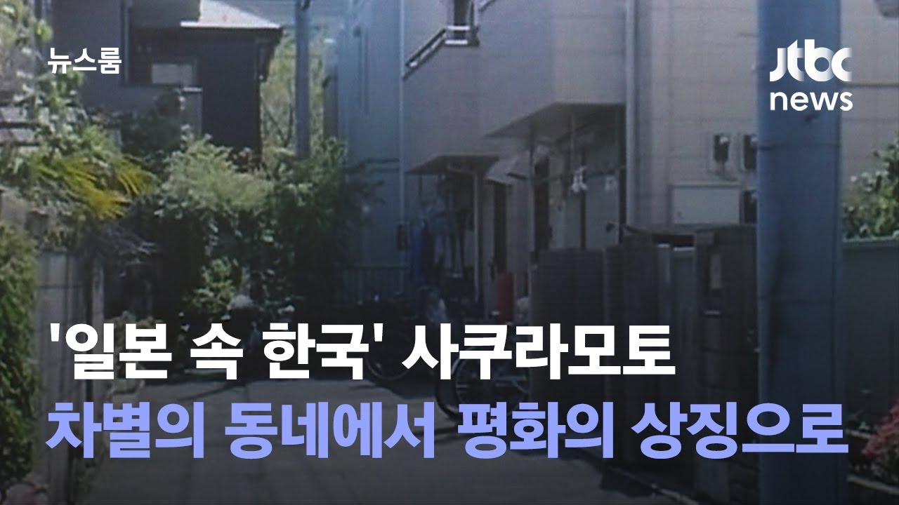'일본 속 한국' 사쿠라모토…차별의 동네에서 평화의 상징으로 / JTBC 뉴스룸