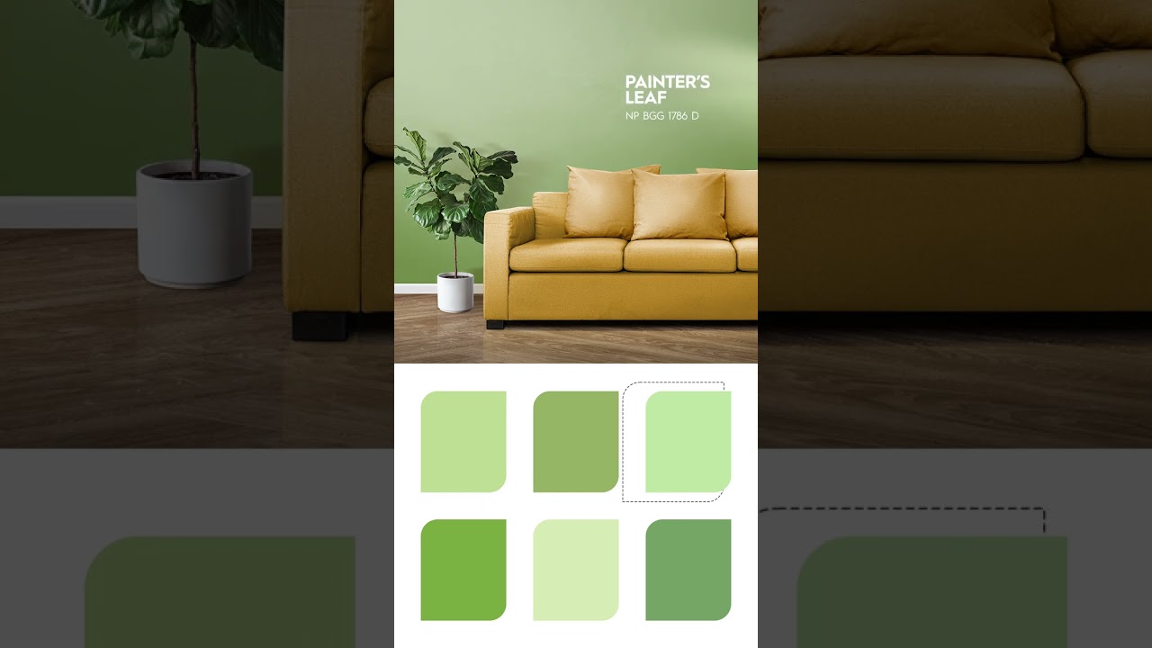 Light green colour shade for living room || #dailyshorts #shorts #dkspainter