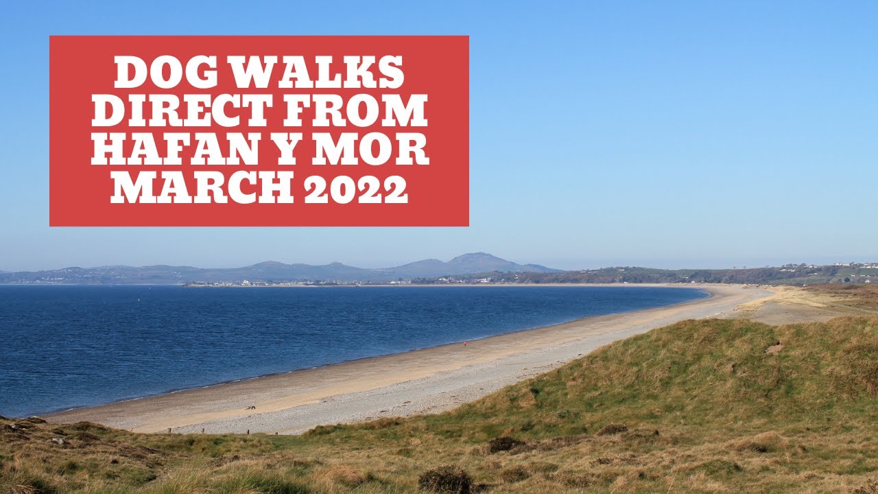 Dog walks from Hafan Y Mor, Pwllheli, UK, 2022 - Its a long one so grab a brew.