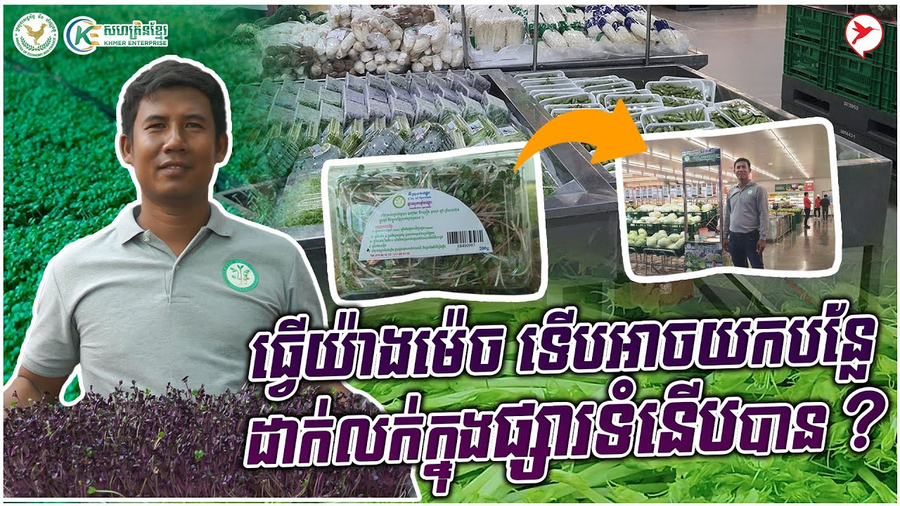 ធ្វើយ៉ាងម៉េច ទើបអាចយកបន្លែដាក់លក់ក្នុងផ្សារទំនើបបាន ? | កម្មវិធីមុខរបរស្រុកយើង