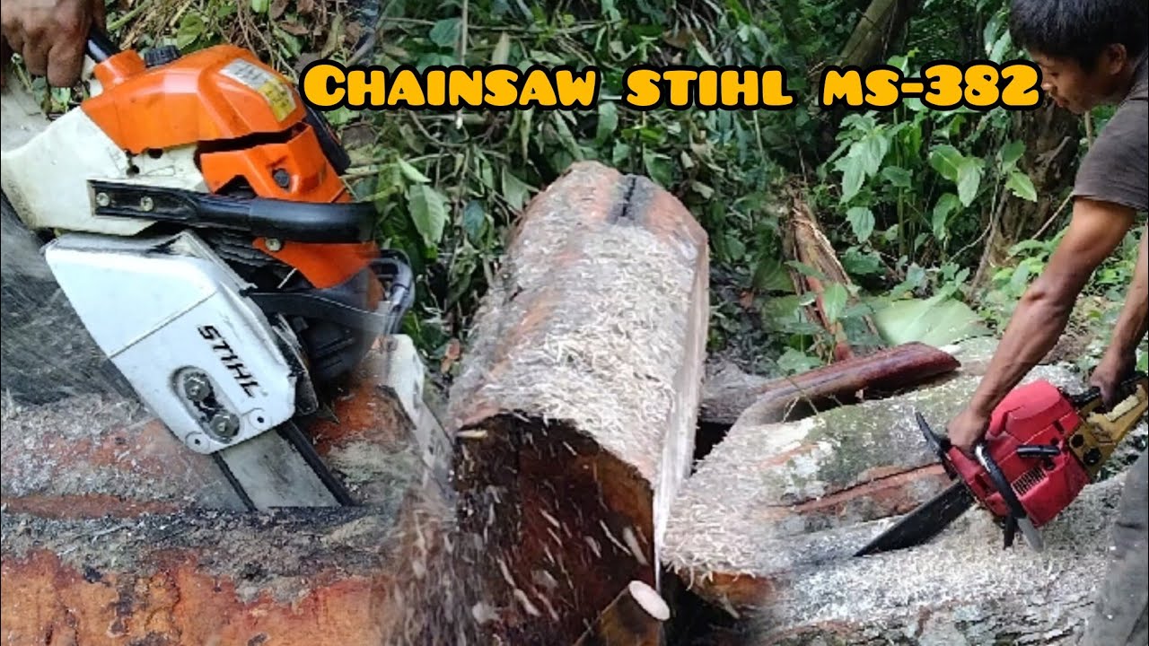 Cutting wood by chainsaw Stihl Ms-382