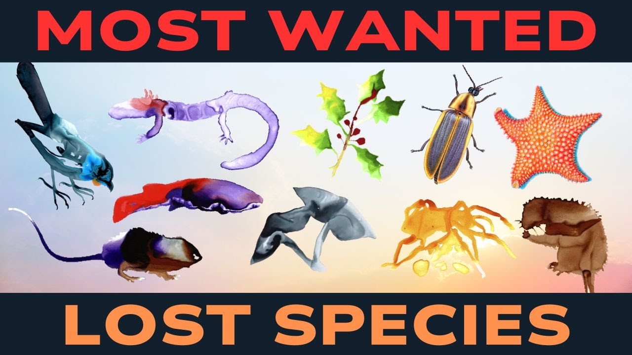The Search for the MOST WANTED LOST SPECIES