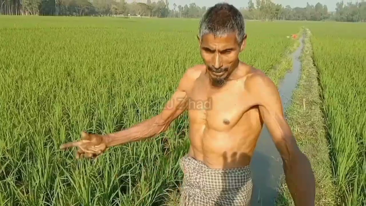 সব কিছুর দাম | দরিদ্র মানুষের করুন দশা  | সরকারের কাছে আবেদন করছে কৃষকদের মজুরি যেন বৃদ্ধি করা হয়