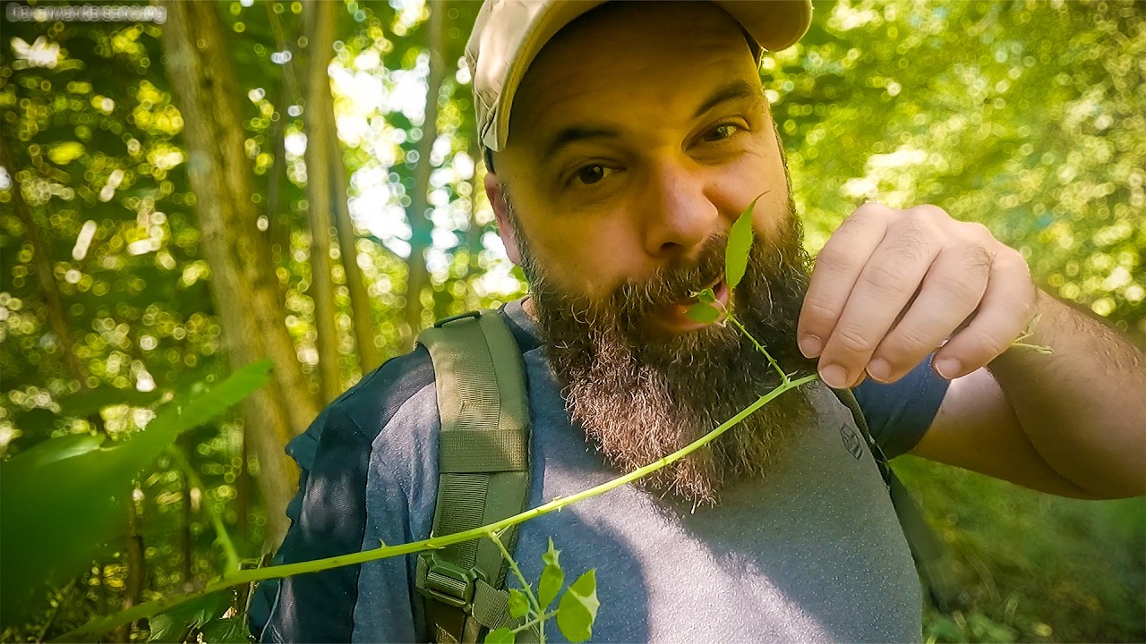 Steinbachpfad | Wandern im Saarland #11